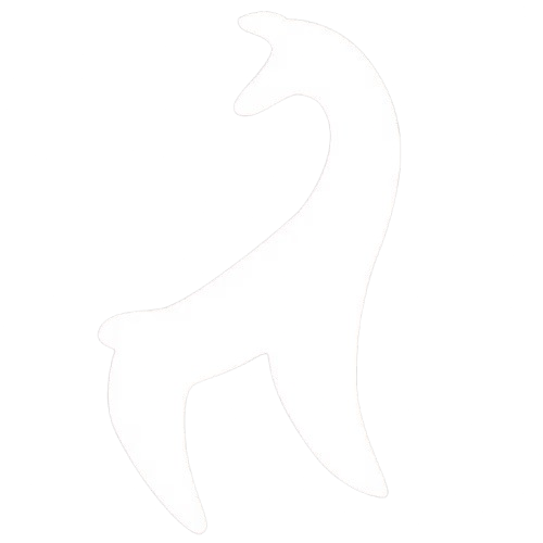 Logo Llama Nativa