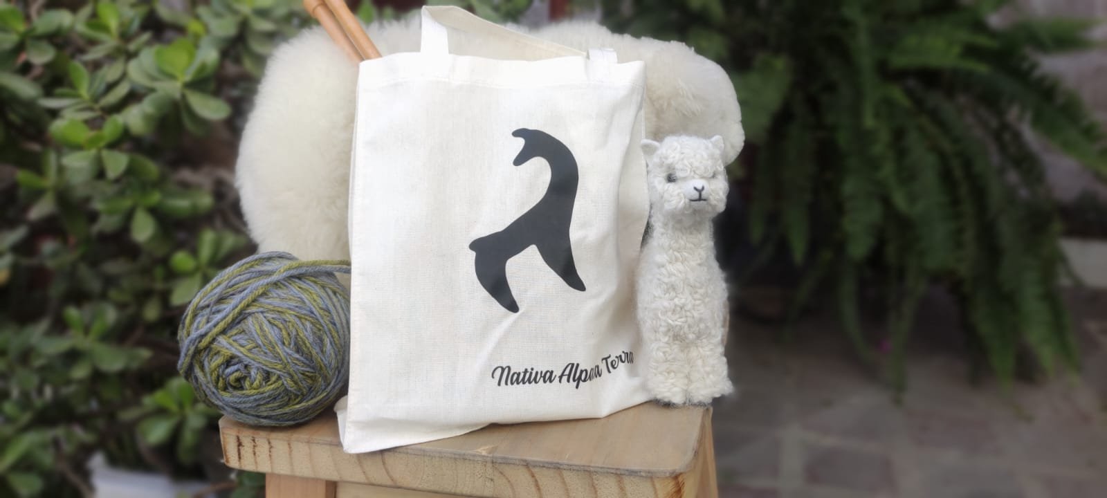 Kit de Tejido